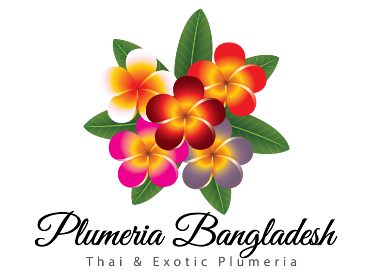 logo-PNG-01